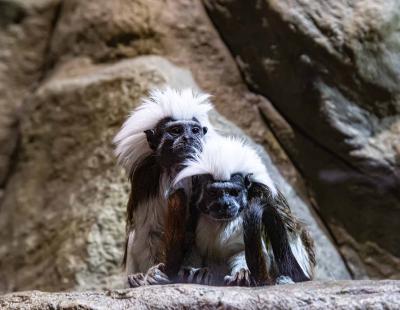 Прикрепленное изображение: IMG_7097.jpg